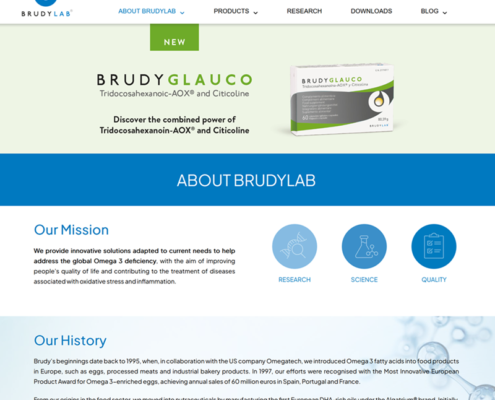 BrudyLab website 2026 by SOLID SEO