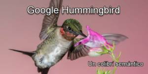 Google Hummingbird – Introducción Google Hummingbird - Introducción