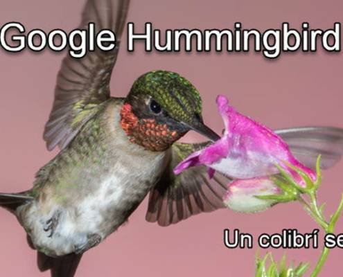 Google Hummingbird - Introducción
