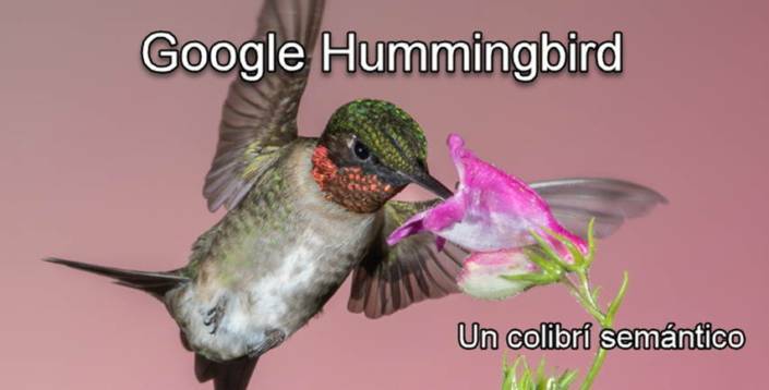 Google Hummingbird – Introducción Google Hummingbird - Introducción